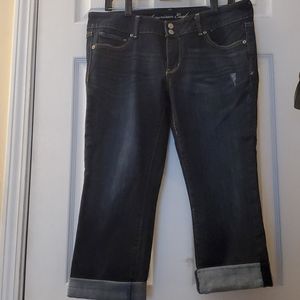 Brand New American Eagle Artist Cropped Denim